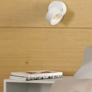 Mini Concord
