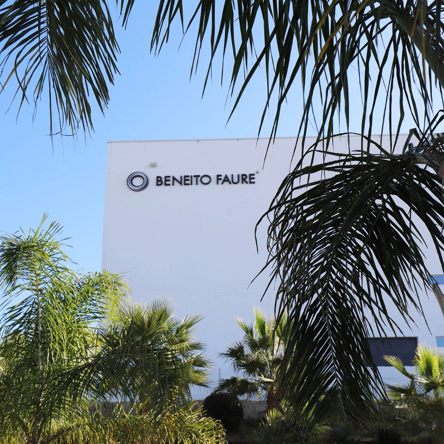 Une année 2024 de progrès et d&rsquo;expansion pour Beneito Faure